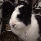 Terry Sanchez's photo