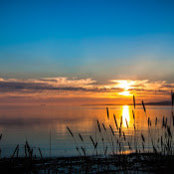Ika Mujiri's photo