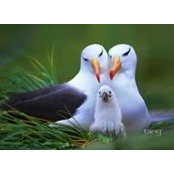 Maxwell Odoi's photo