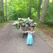Denise Wolfe's photo