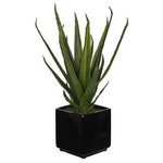 House of Silk Flowers, Inc. - Artificial Aloe Succulent in Black Cube Ceramic - This contemporary artificial aloe succulent is handcrafted by House of Silk Flowers. This plant will complement any decor, whether in your home or at the office. A professionally-arranged artificial EVA foam aloe succulent plant is securely "potted" in a glazed black contemporary cube ceramic vase (6" cube). It is arranged for 360-degree viewing. The overall dimensions are measured leaf tip to lead tip, bottom of planter to tallest leaf tip: 21" tall x 14" diameter. Measurements are approximate, and will be determined by your final shaping of the plant upon unpacking it. No arranging is necessary, only minor shaping, with the way in which we package and ship our products. This item is only recommended for indoor use.
