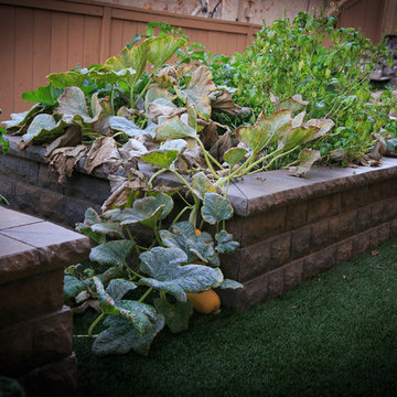 Brainard Project : Western Outdoor Designs