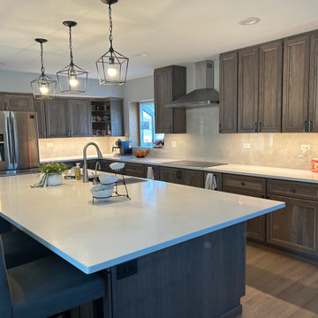 Oak Lawn Kitchen remodel