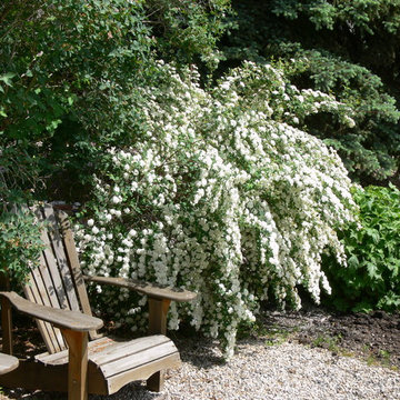 Cottage Garden