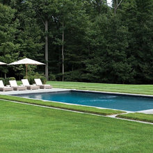 Dogwood landscape and pool