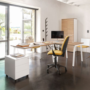 Office Collections