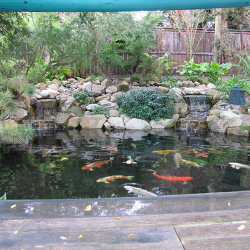 Koi Pond