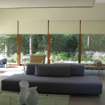 Motorization & Roller Shades