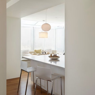 Pacific Heights penthouse remodel