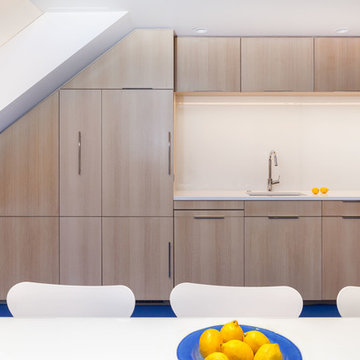 Modern Ski Condominium