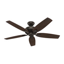 ceiling fans