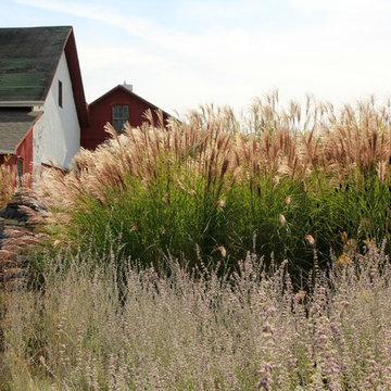 The DPG Farm Gardens, East Vincent Township