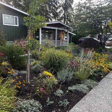 Fircrest Front Yard