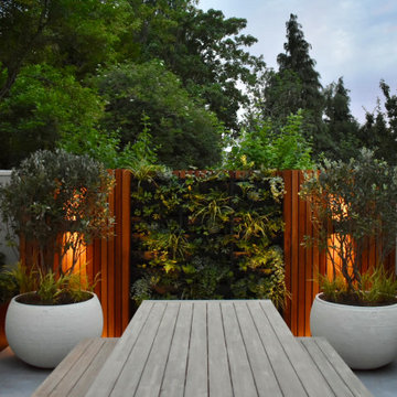 Modernist haven in Muswell Hill