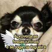 Wagner Tavares's photo