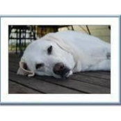 Heather Jensen's photo