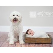 Lauren Hudson's photo