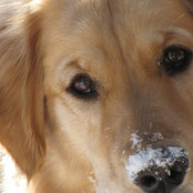 Nancy Fraser's photo