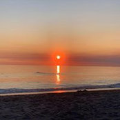 Julie Liu's photo