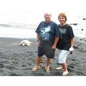 Donna Lyon's photo
