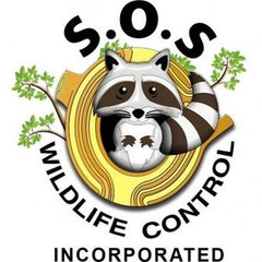 SOS Wildlife Control