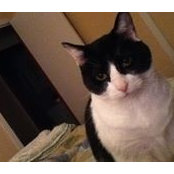 Leigh Gunnells's photo