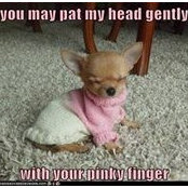 Carrie Jandron's photo