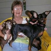 Pam Allemeier's photo