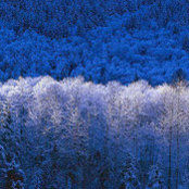 Paul Willingham's photo