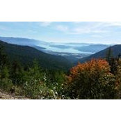 Donna Smith's photo