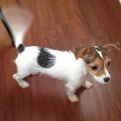 Mike Weaver's photo