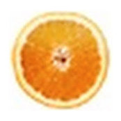françois de Cambiaire's photo