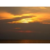 Rodney White's photo