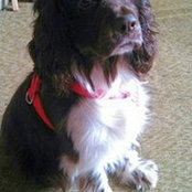 Barney Klimeck's photo