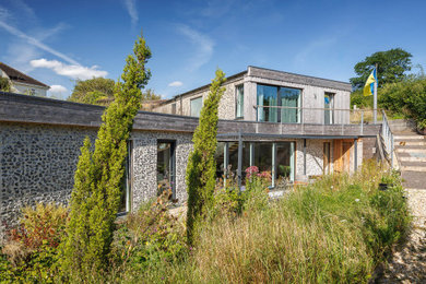 Large and brown contemporary two floor rear detached house in Dorset with wood cladding, a flat roof, a green roof, a brown roof and board and batten cladding.