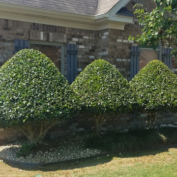 Shrub and Tree sculpting