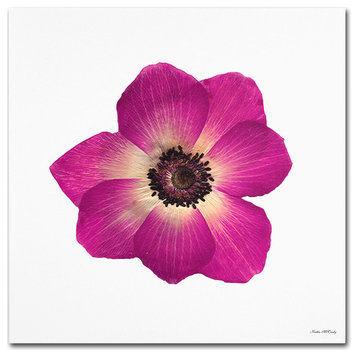 'Hot Pink Flower' Canvas Art by Kathie McCurdy