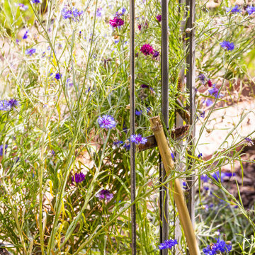 Rénovation du jardin de l'hôtel La Bastide de Boulbon