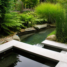 landscapenew