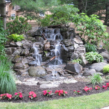 Pond Paradise Designs assorted photos