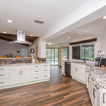 Kitchen/Living/Dining Space Renovation
