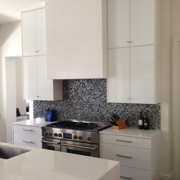 Contemporary Kitchen