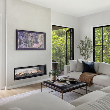 North Arlington Virginia Classic Modern Great Room