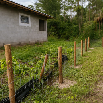 Ranch Fence