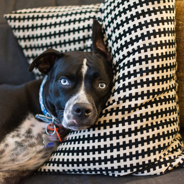 Awfully Big Adventure Apartment Tour