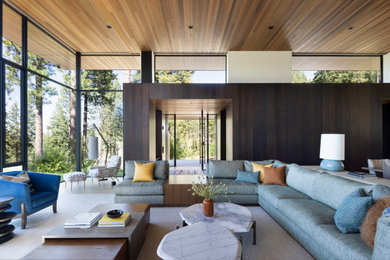 Living room - modern living room idea