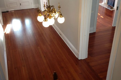 This is an example of a traditional foyer in New Orleans with light hardwood flooring.