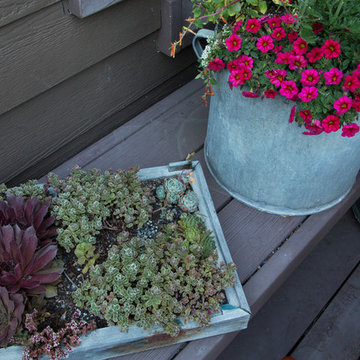 My Houzz: Colorful Garden Oasis in Marin County