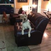 Kevin Krieg's photo