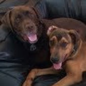 Diana Segal's photo